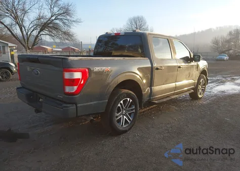 2021 Ford F-150 Xl z USA, uszkodzony, nr VIN 1FTEW1EP5MKD31411